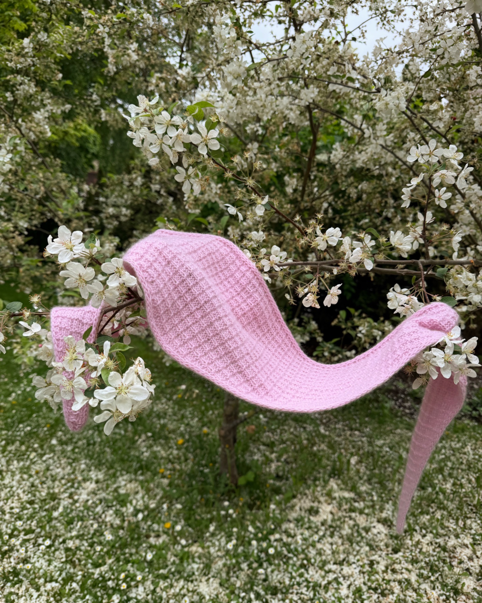 Rožinė Amelle skarelė ant žydinčio medžio